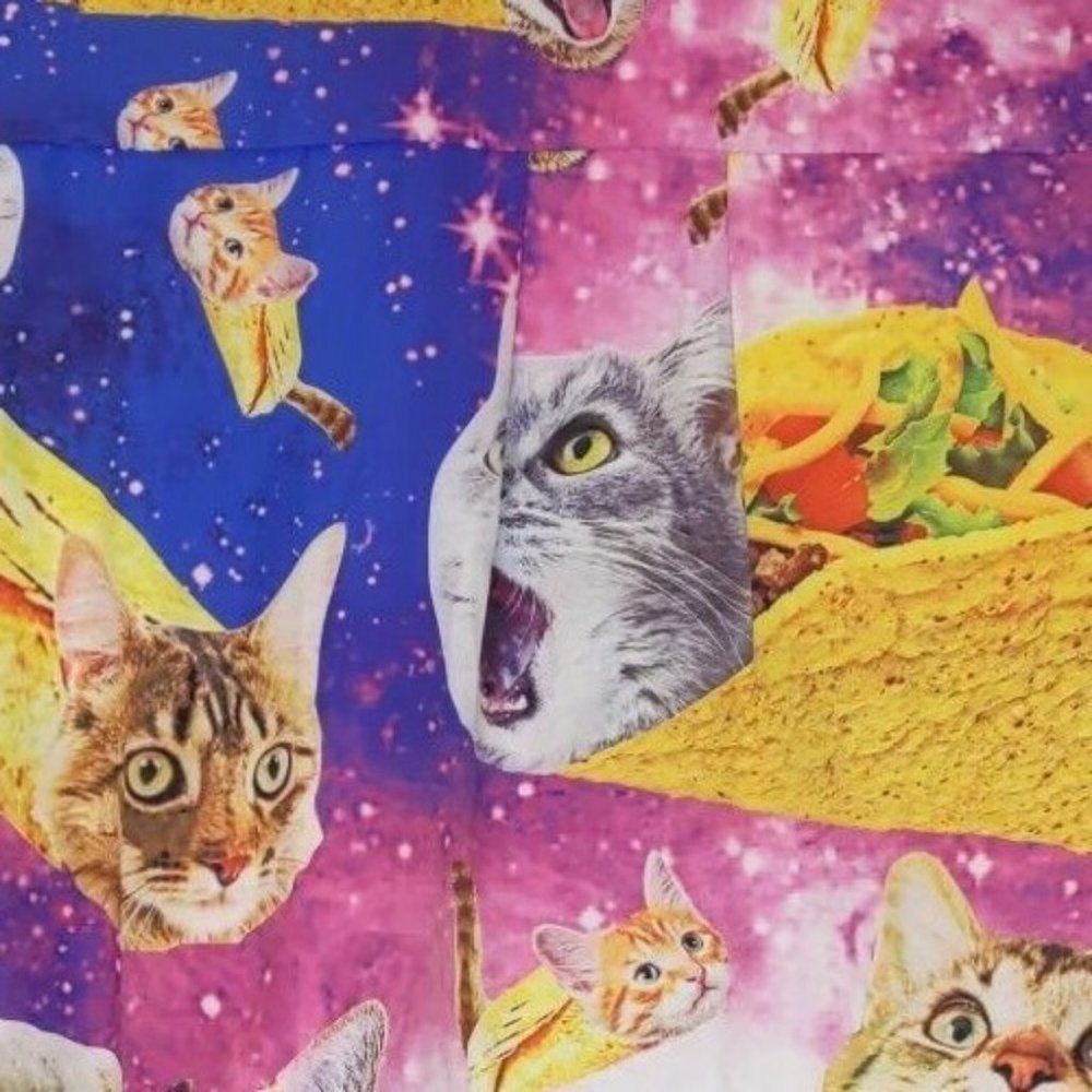 Novelty Cat & Taco Print Short Sleeve Button-Down Shirt - Pink/Blue - Picture 13 of 14